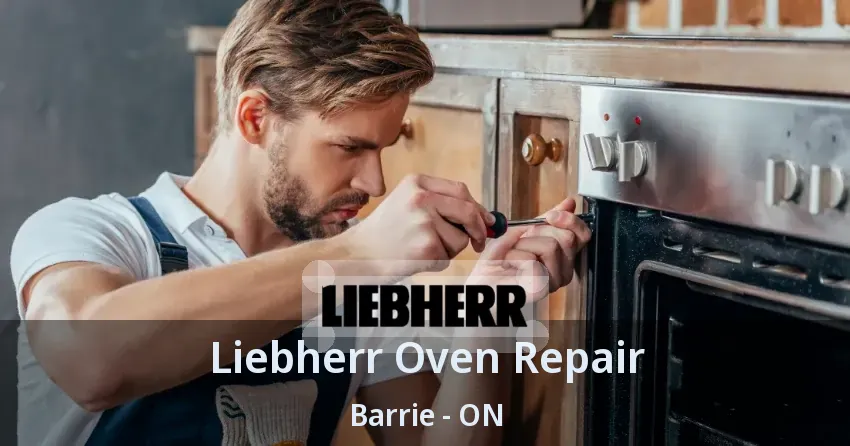 Liebherr Oven Repair Barrie - ON