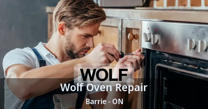 Wolf Oven Repair Barrie - ON