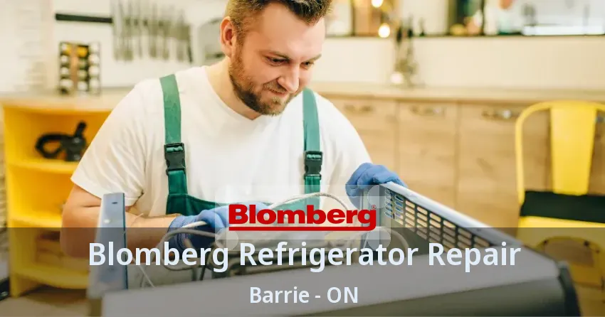 Blomberg Refrigerator Repair Barrie - ON