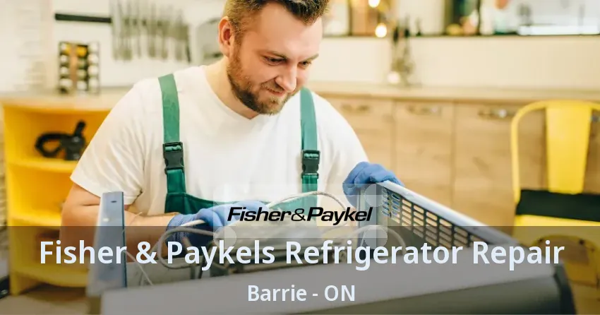 Fisher & Paykels Refrigerator Repair Barrie - ON