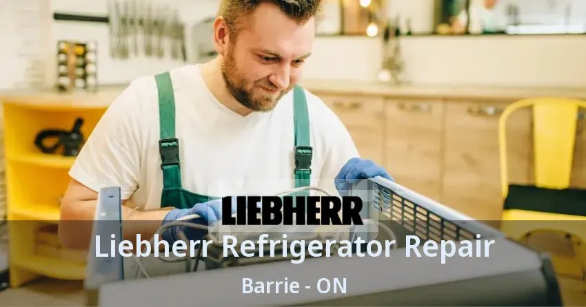 Liebherr Refrigerator Repair Barrie - ON