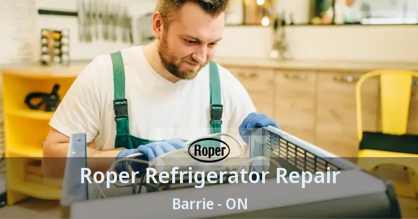 Roper Refrigerator Repair Barrie - ON