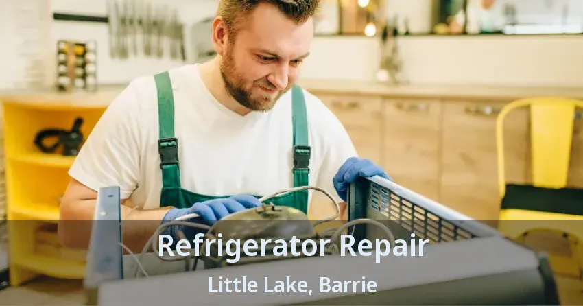 Refrigerator Repair Little Lake, Barrie - ON
