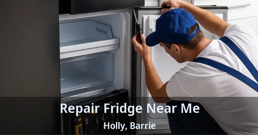 Repair Fridge Near Me Holly, Barrie - ON
