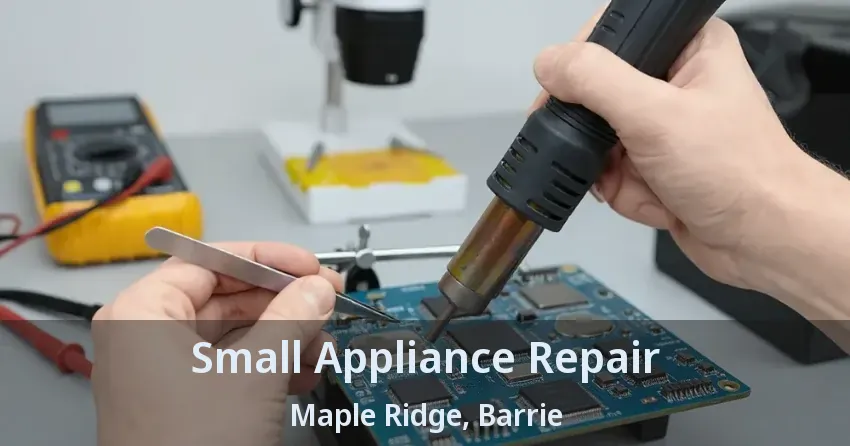 Small Appliance Repair Maple Ridge, Barrie - ON