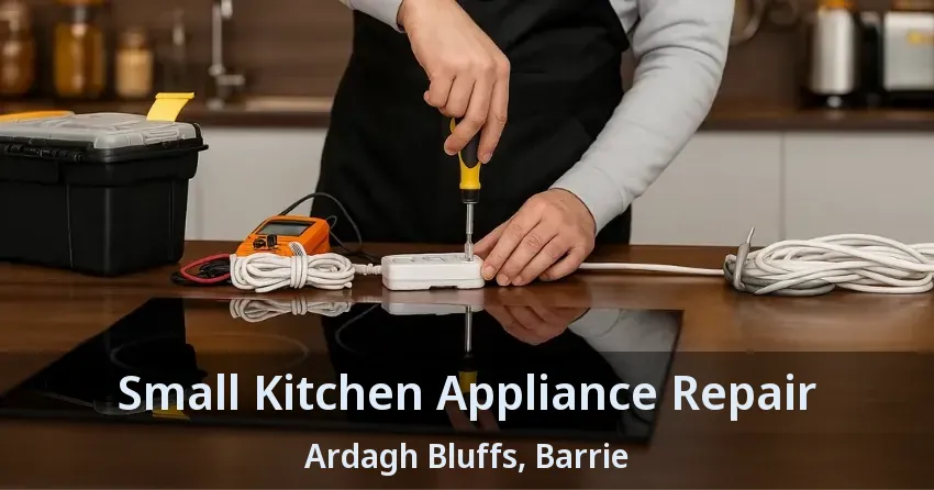 Small Kitchen Appliance Repair Ardagh Bluffs, Barrie - ON