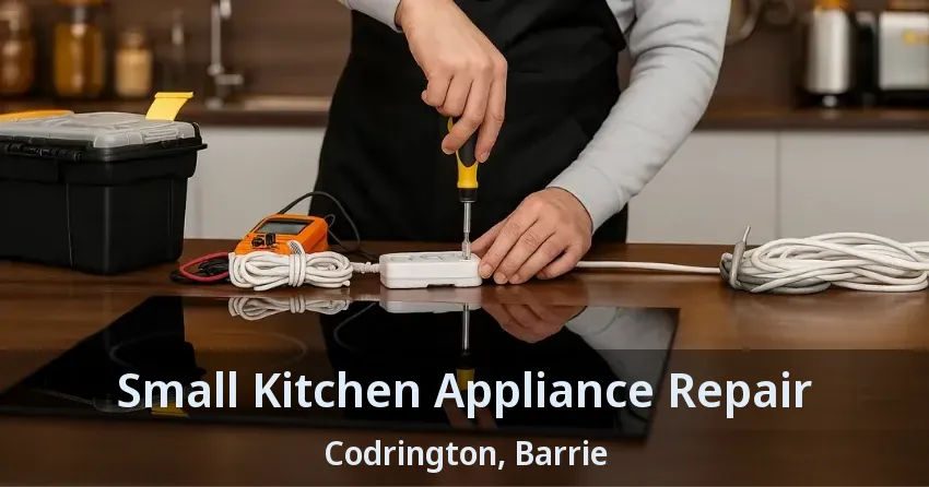 Small Kitchen Appliance Repair Codrington, Barrie - ON