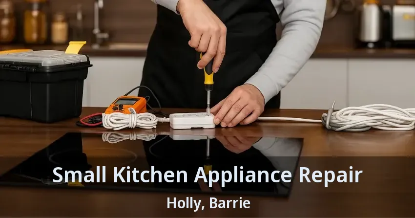 Small Kitchen Appliance Repair Holly, Barrie - ON