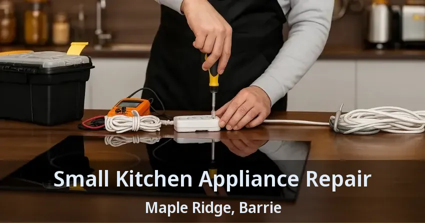 Small Kitchen Appliance Repair Maple Ridge, Barrie - ON