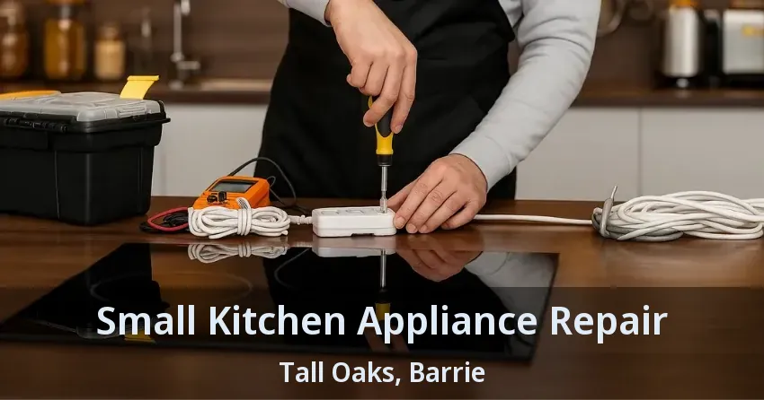Small Kitchen Appliance Repair Tall Oaks, Barrie - ON