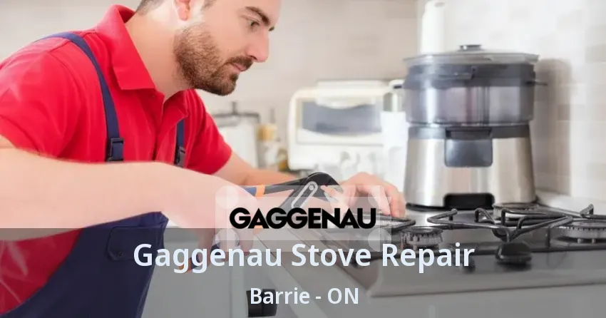 Gaggenau Stove Repair Barrie - ON