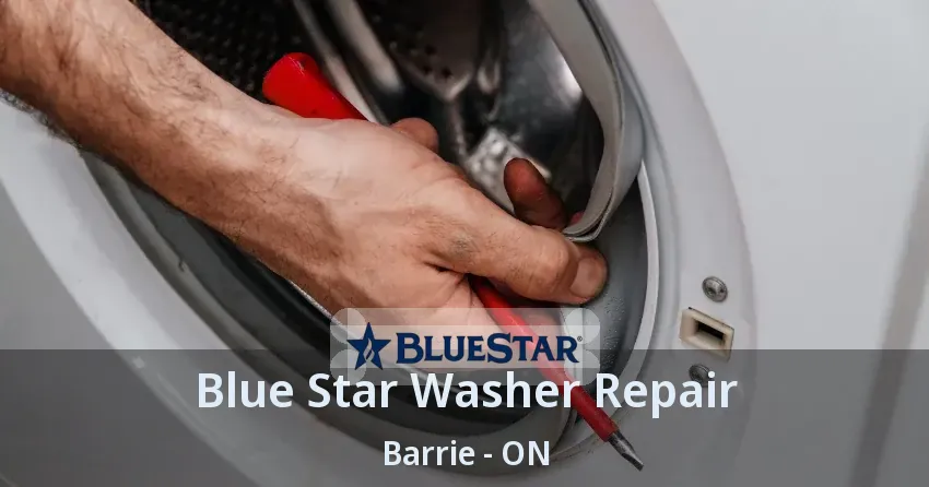 Blue Star Washer Repair Barrie - ON