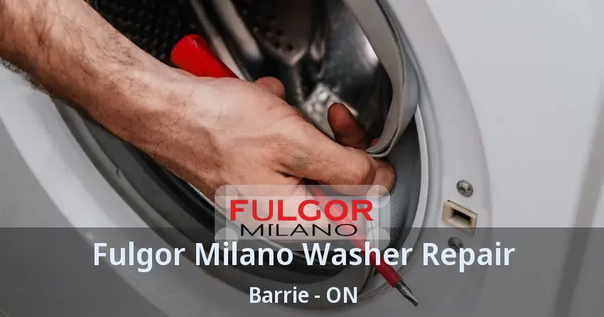 Fulgor Milano Washer Repair Barrie - ON