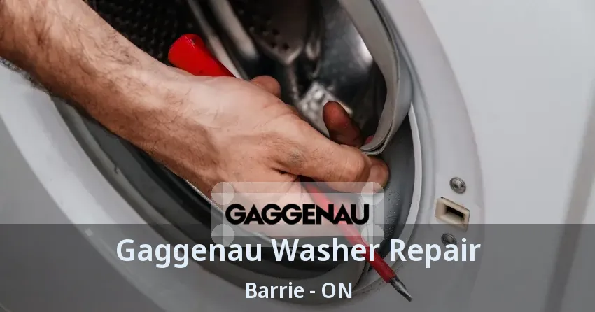 Gaggenau Washer Repair Barrie - ON