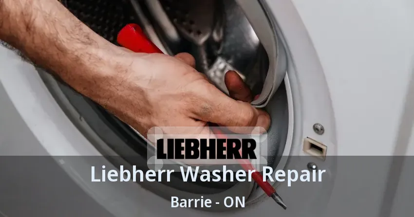 Liebherr Washer Repair Barrie - ON